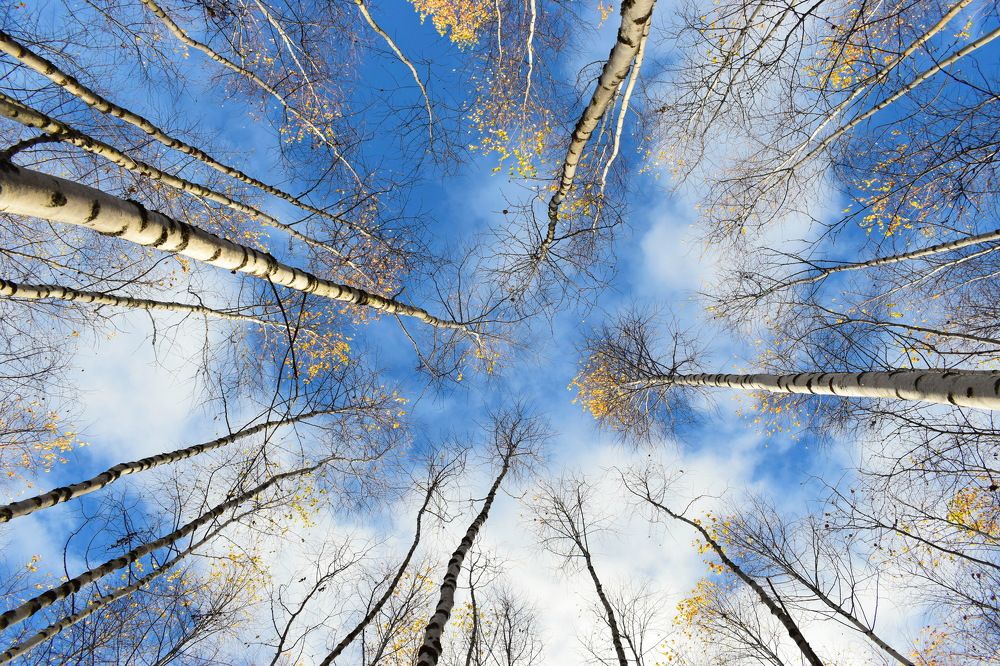 Синь небесная.