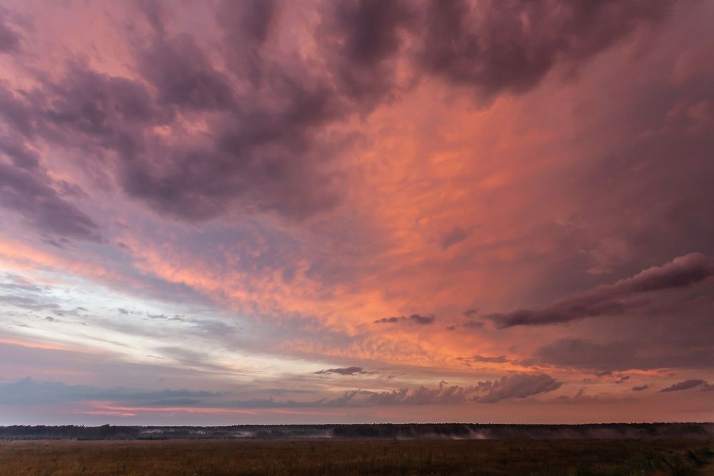 ПОСЛЕ ДОЖДЯ