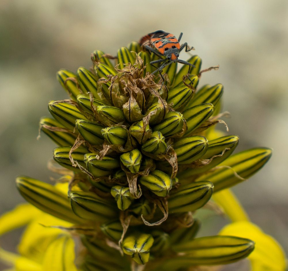 Photograph by Олег Башкуров