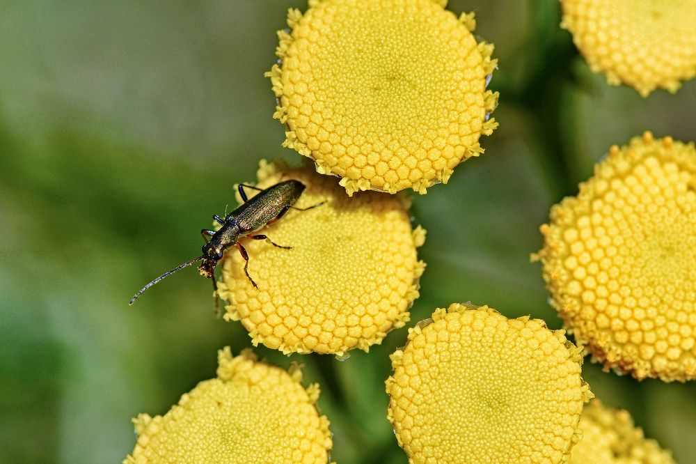 Photograph by Валерий