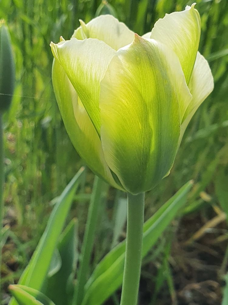 Photograph by Татьяна Александрова