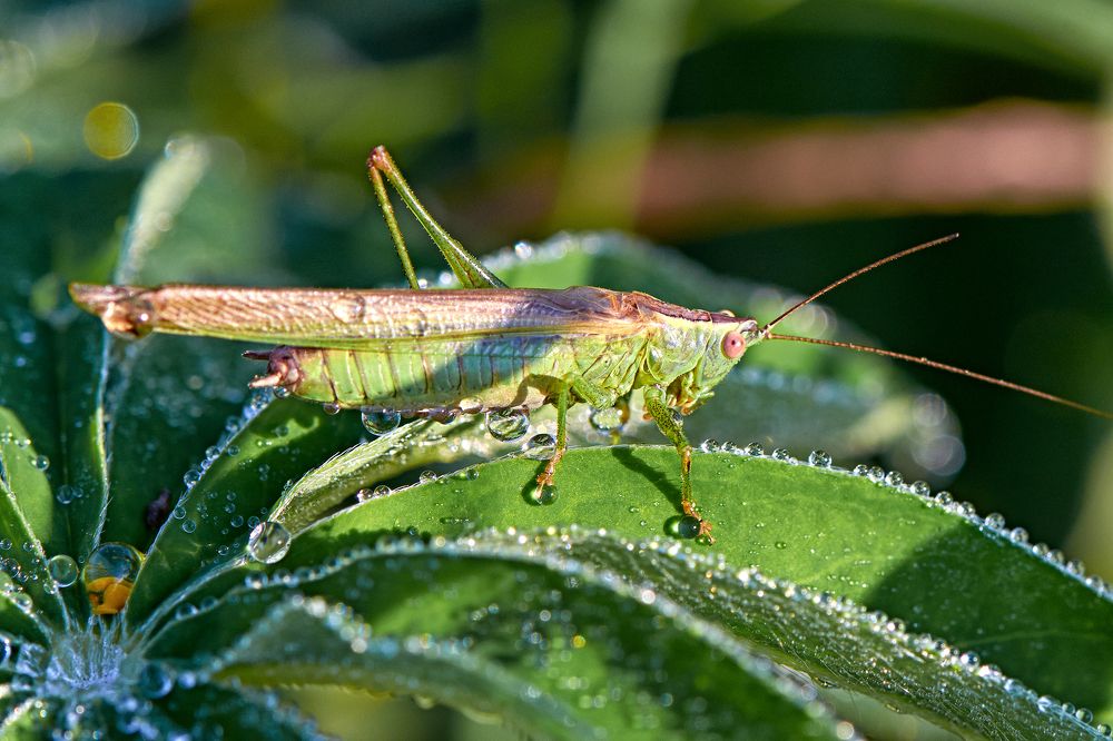 Photograph by Валерий