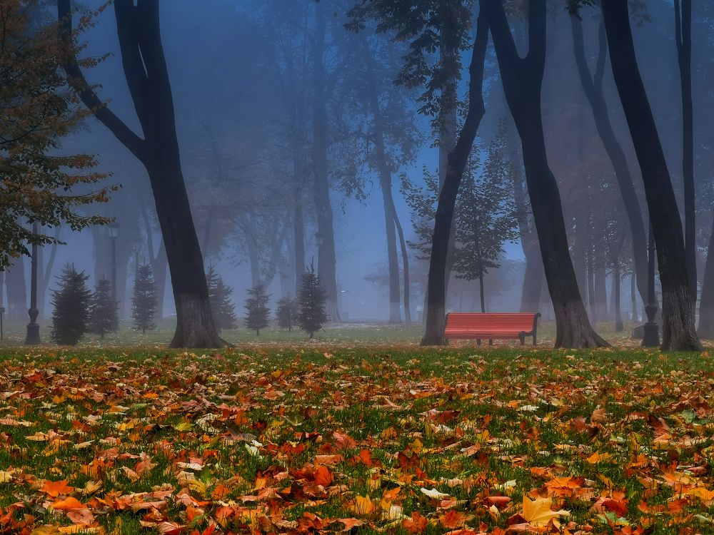 Photograph by Алексей Тарасов