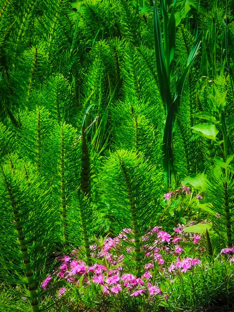 Photograph by Алексей Тарасов