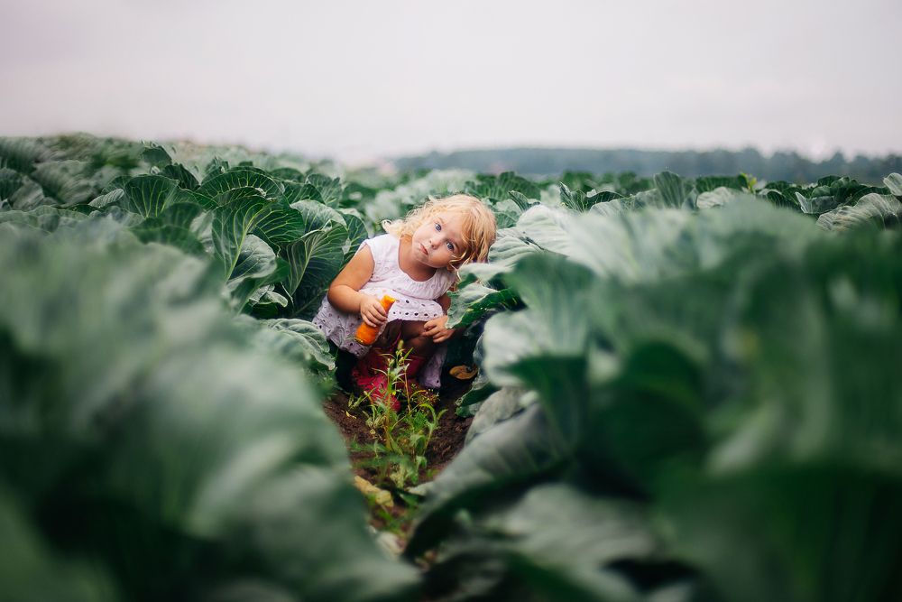 Photograph by Юлия Захаренкова