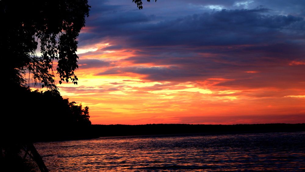 Photograph by Софья Белоногова