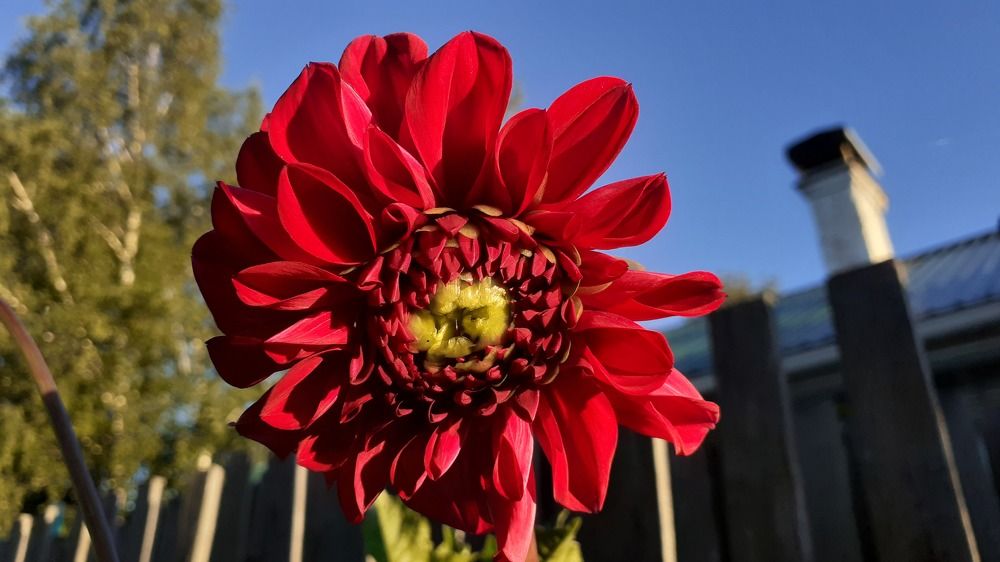 Photograph by Елена Лещева