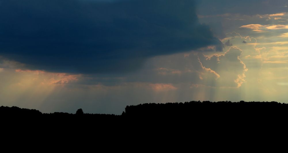 Photograph by Софья Белоногова