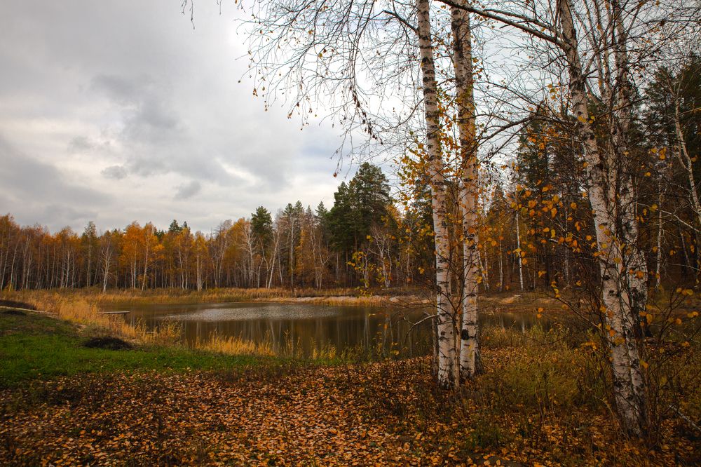 Photograph by Валерий Богачев