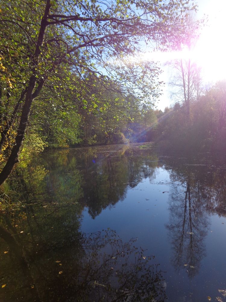 Photograph by Георгий Салюков