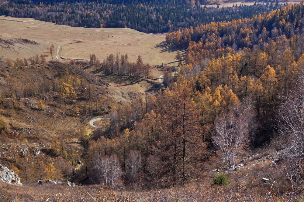 Photograph by Сергей Гребенников