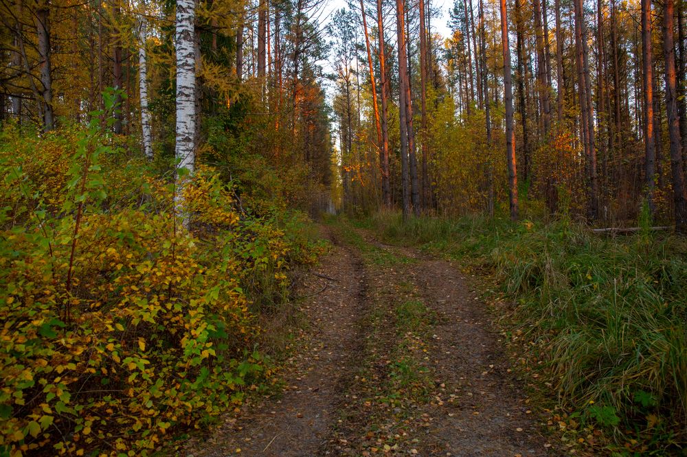 Photograph by Наталья Катюжанская