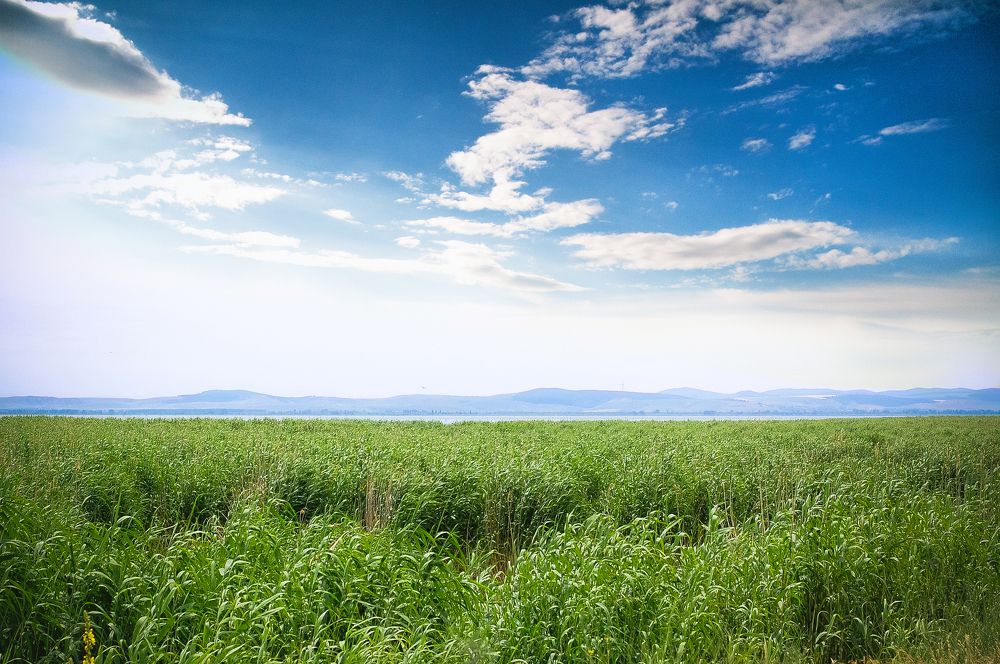 Photograph by Solnce Podgurskaya