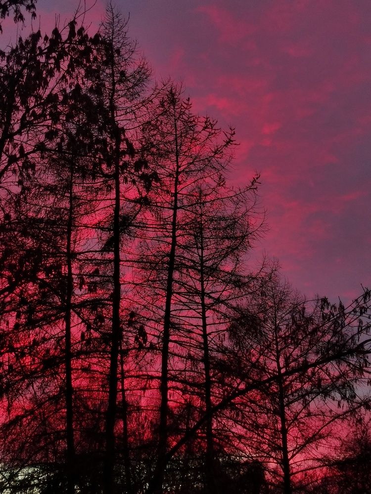 Photograph by Михаил Денисенко