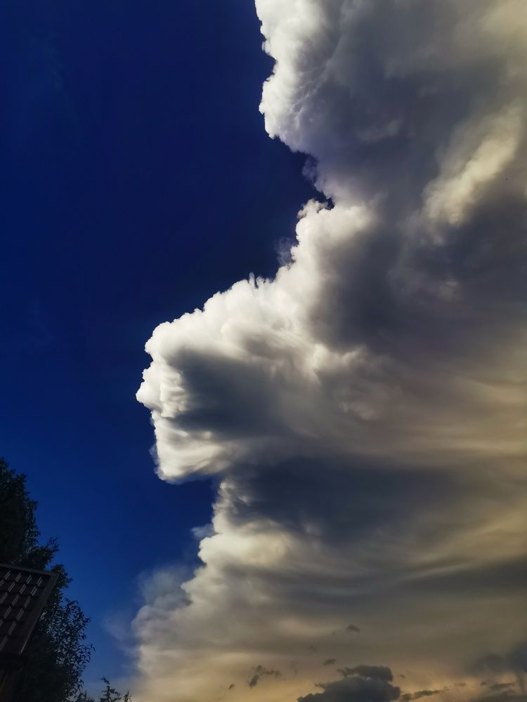 Photograph by Михаил Денисенко