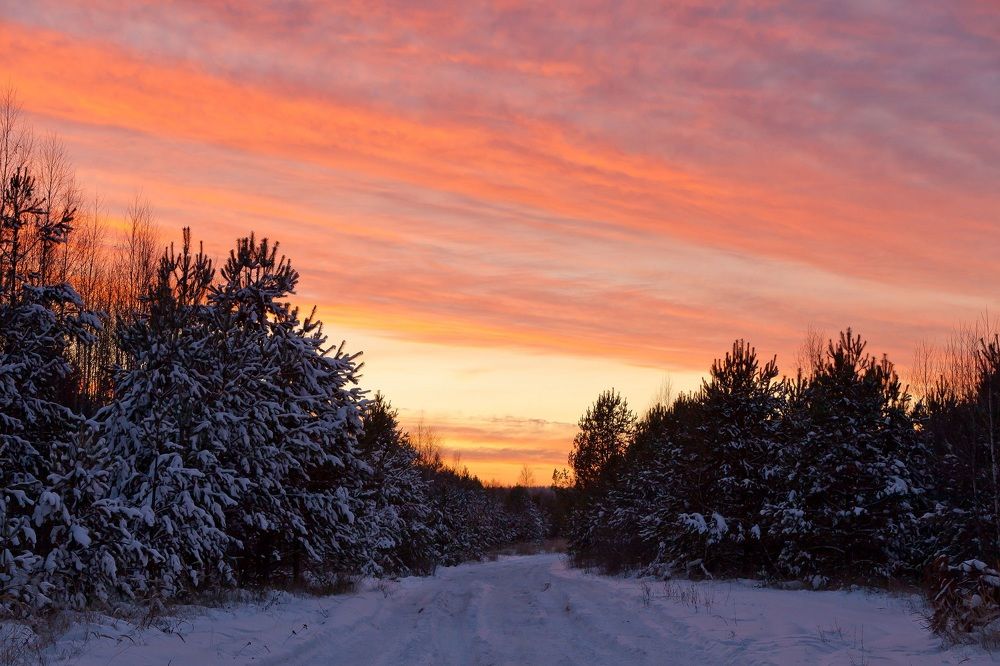 ЯНВАРСКИЙ ВЕЧЕР