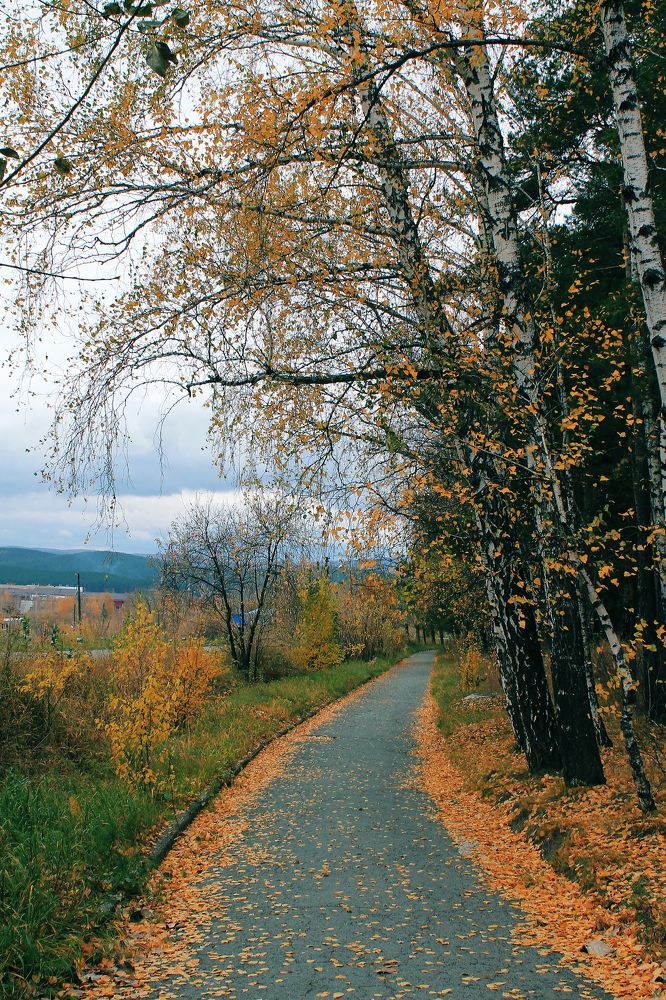 Photograph by Попел Ирина