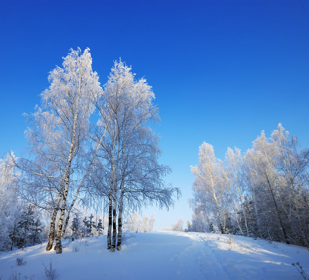 Photograph by Николай Ларионов