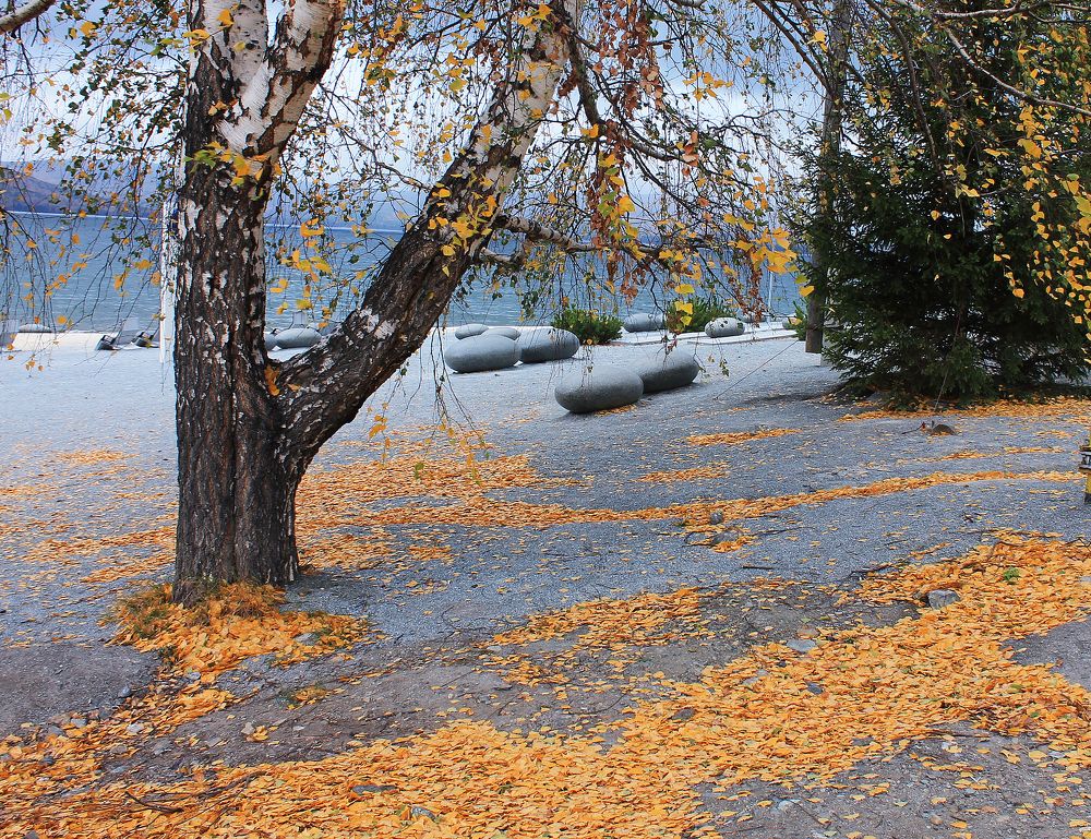 Photograph by Попел Ирина