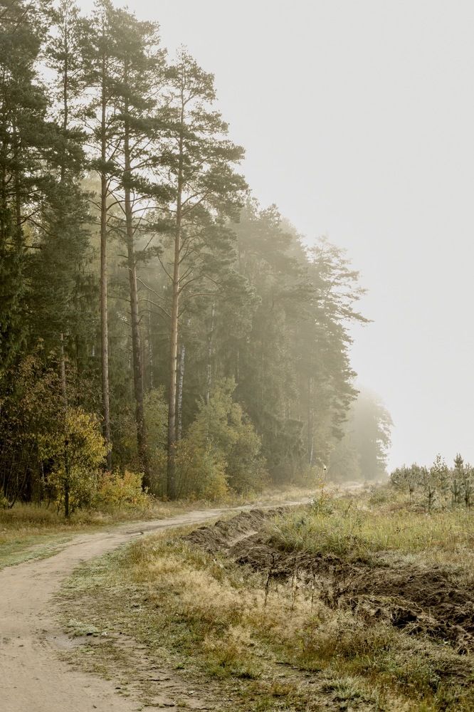 Photograph by Ольга Семина