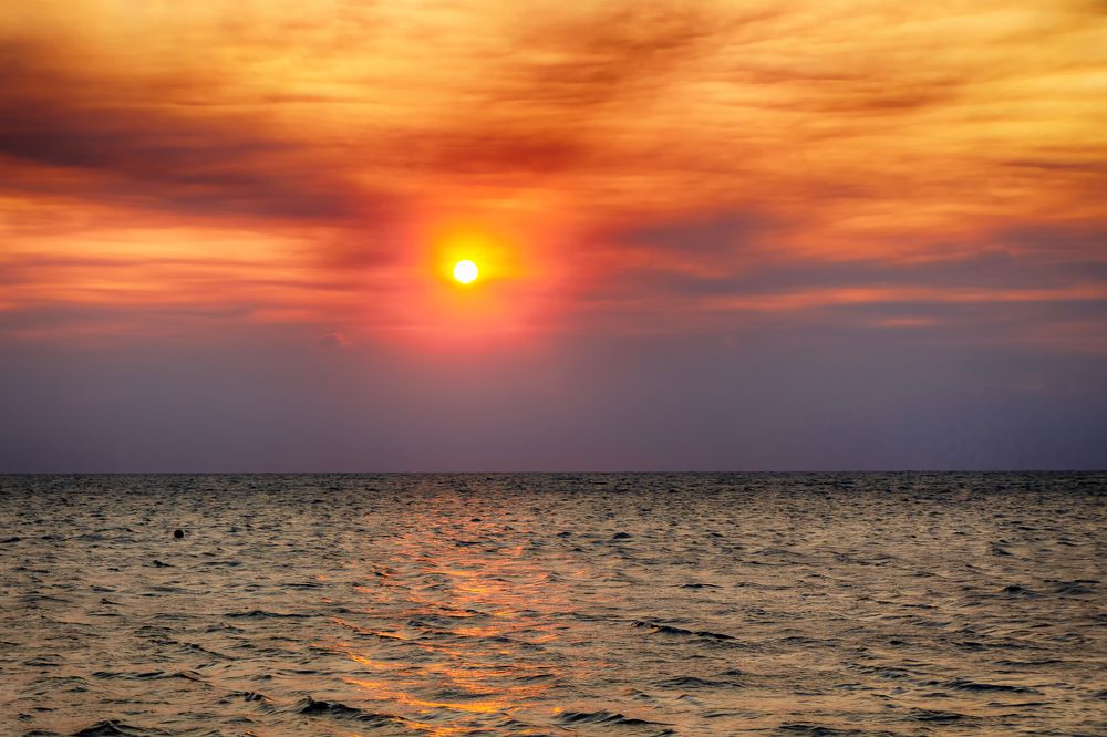 Photograph by Александр Пургин