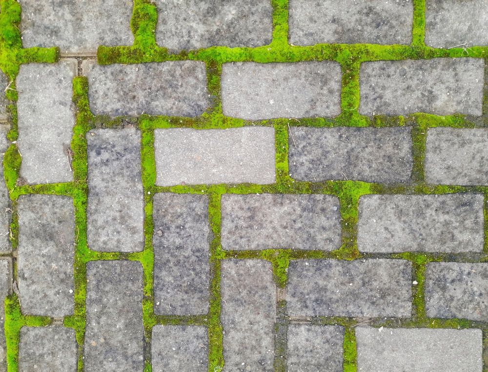 Photograph by Татьяна Абабкова