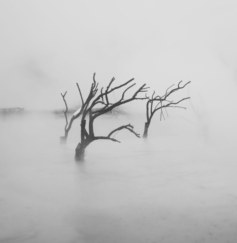 В горячем тумане