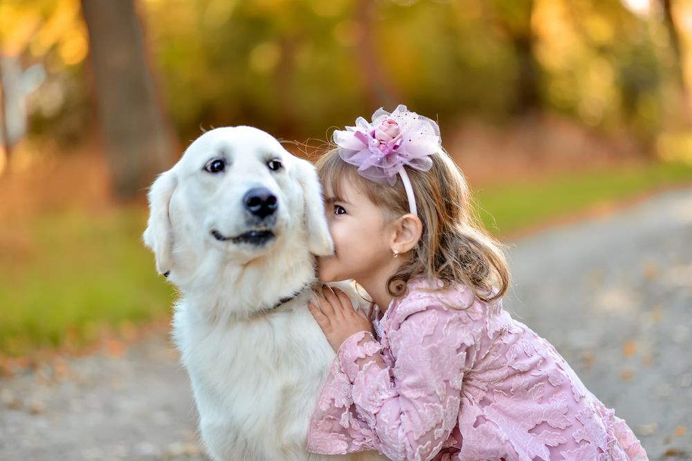 Photograph by Александр Друкар