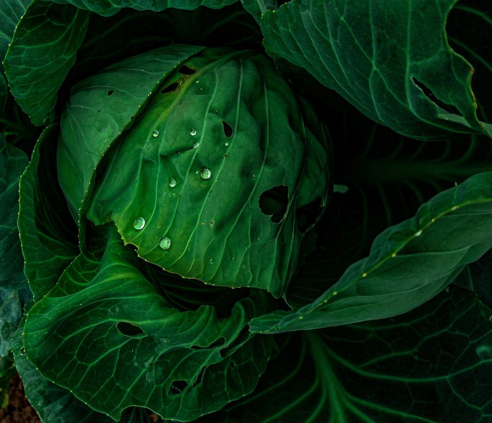 Фотография автора Оля Алехнович