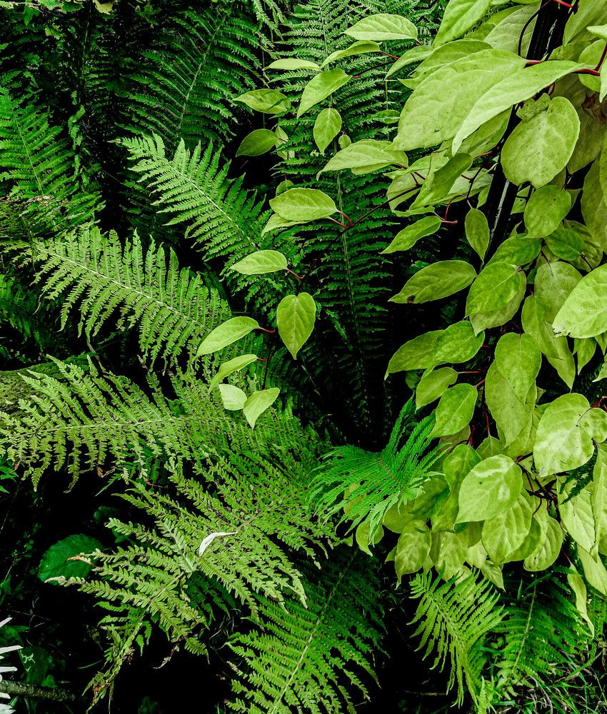 Фотография автора Оля Алехнович