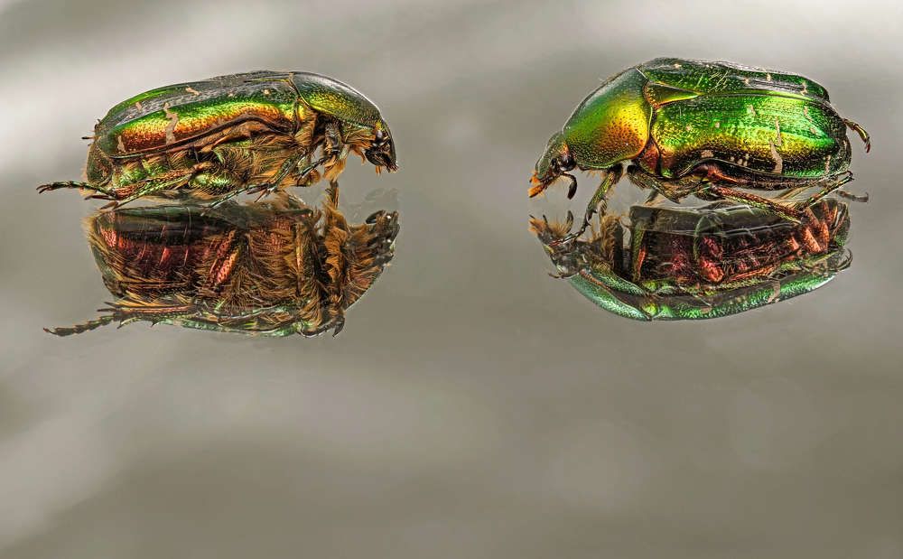 Photograph by Александр Трипольский