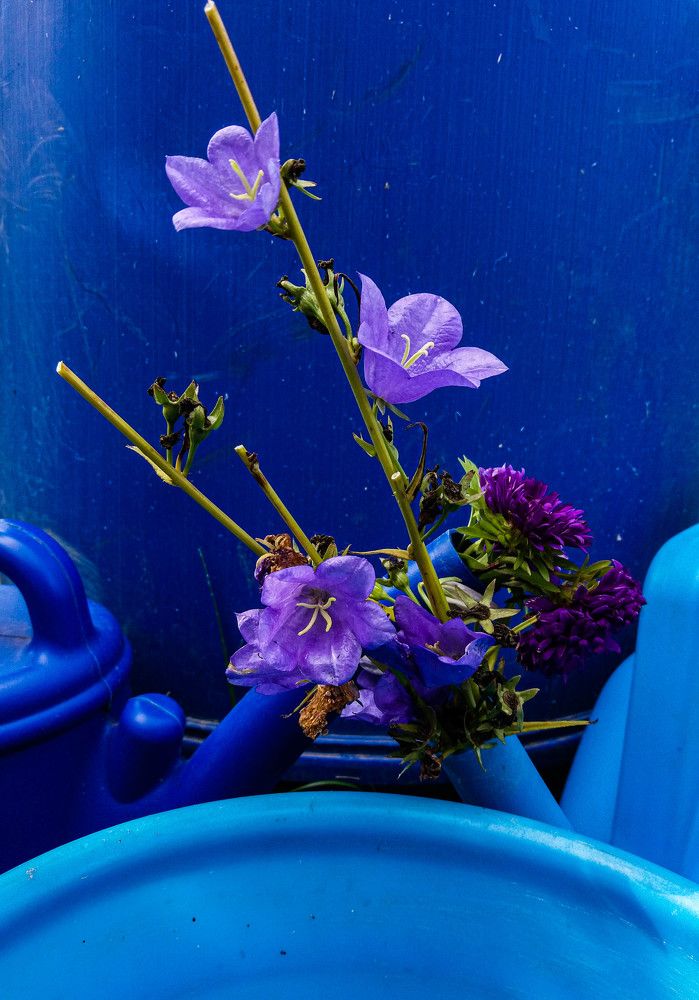 Фотография автора Оля Алехнович