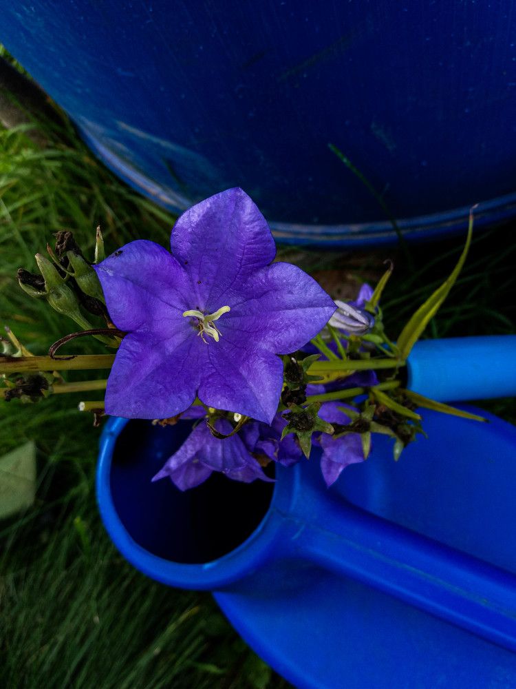 Фотография автора Оля Алехнович