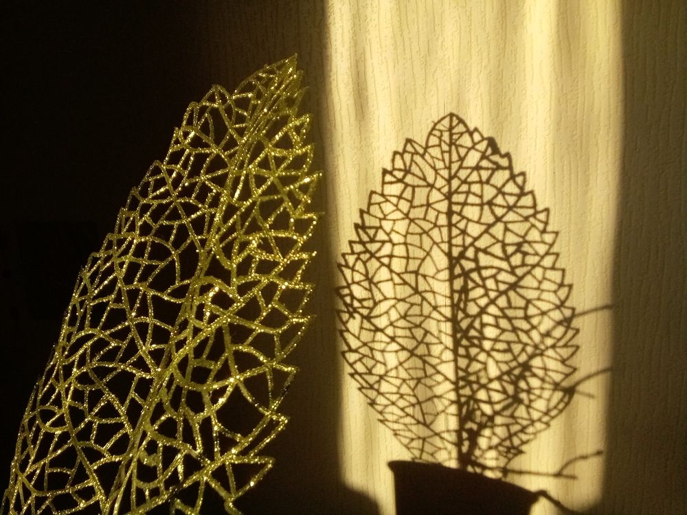 Photograph by Людмила Баглей