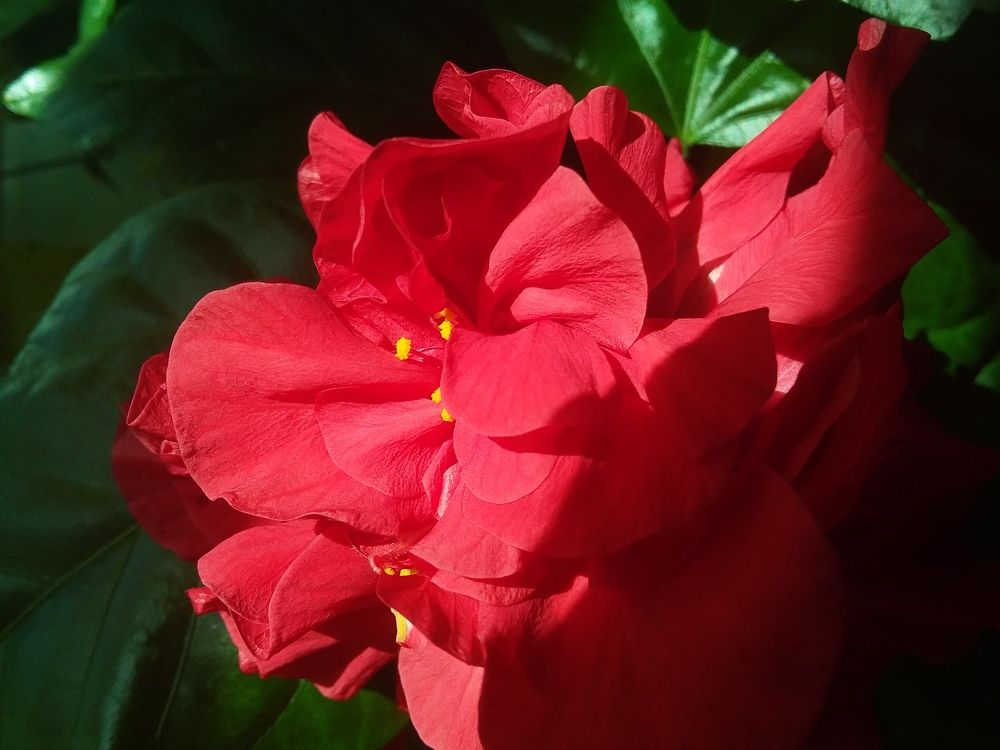 Photograph by Анастасия Кичигина