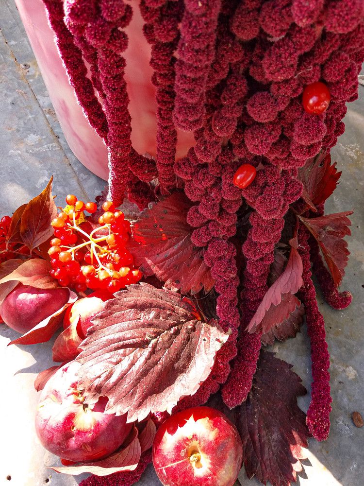 Фотография автора Оля Алехнович