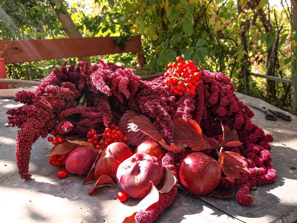 Фотография автора Оля Алехнович