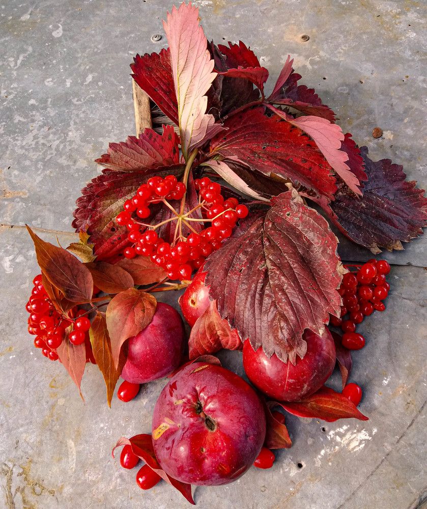 Фотография автора Оля Алехнович