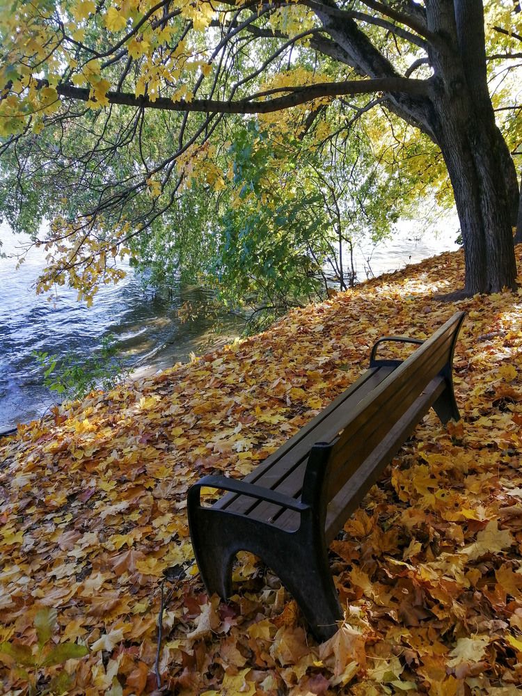 Photograph by Екатерина