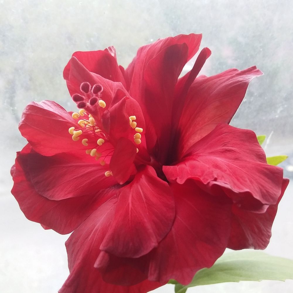 Photograph by Анастасия Кичигина