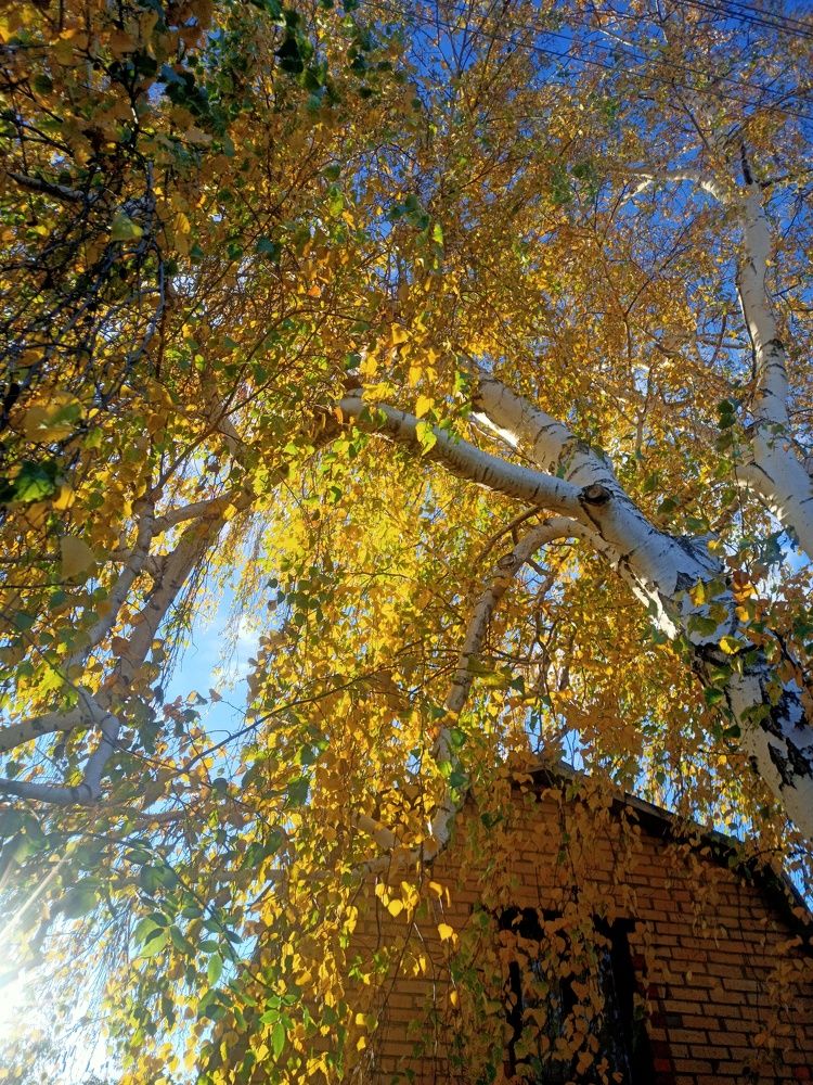 Photograph by Елизавета Мишина