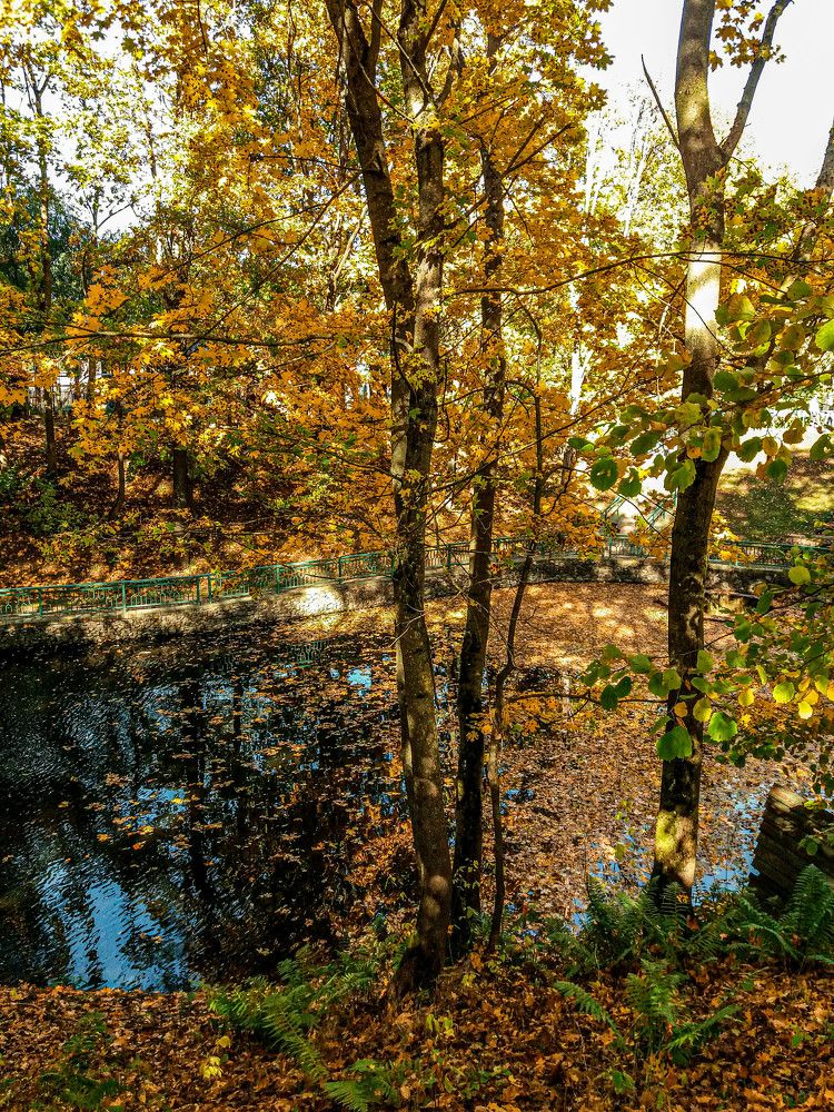 Фотография автора Оля Алехнович