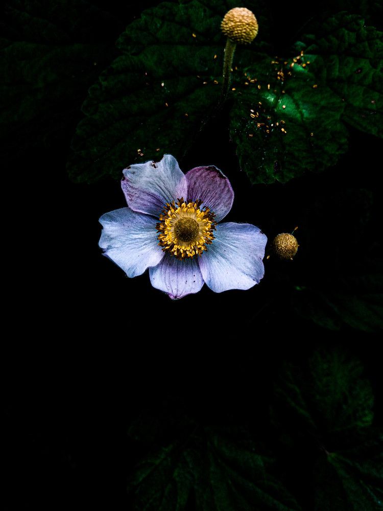 Фотография автора Оля Алехнович