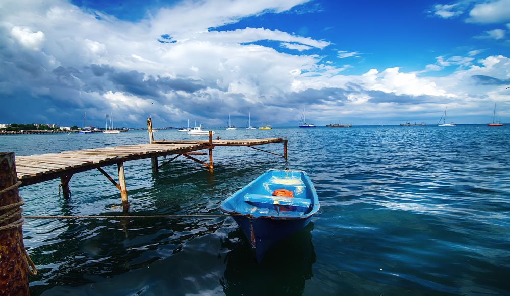 Photograph by Александр Друкар