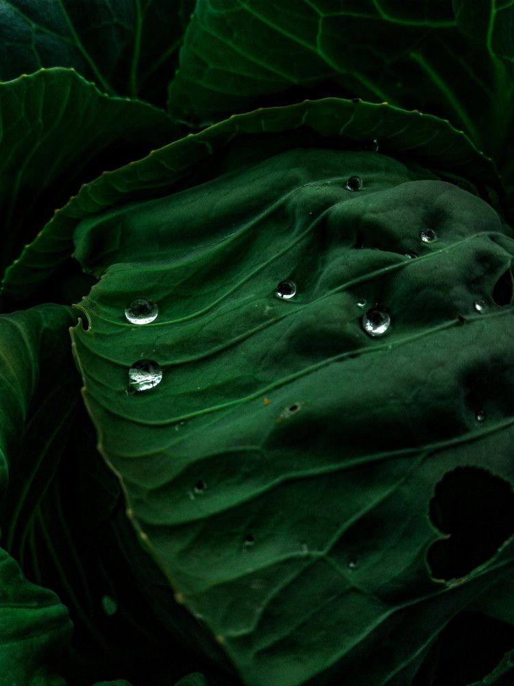 Фотография автора Оля Алехнович