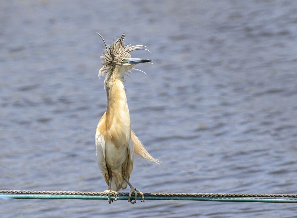 Photograph by Валентина Лопаткина