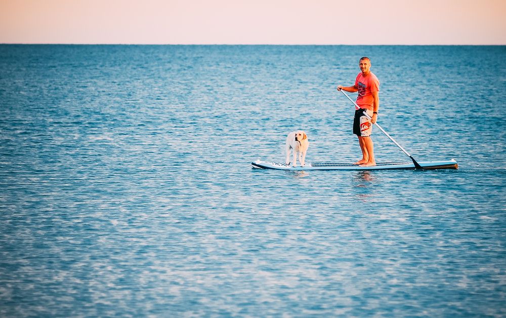 Photograph by Александр Друкар