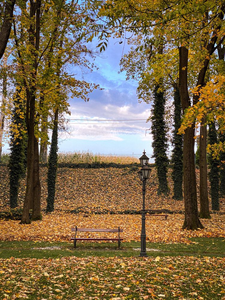 Photograph by Оксана Сидоренко