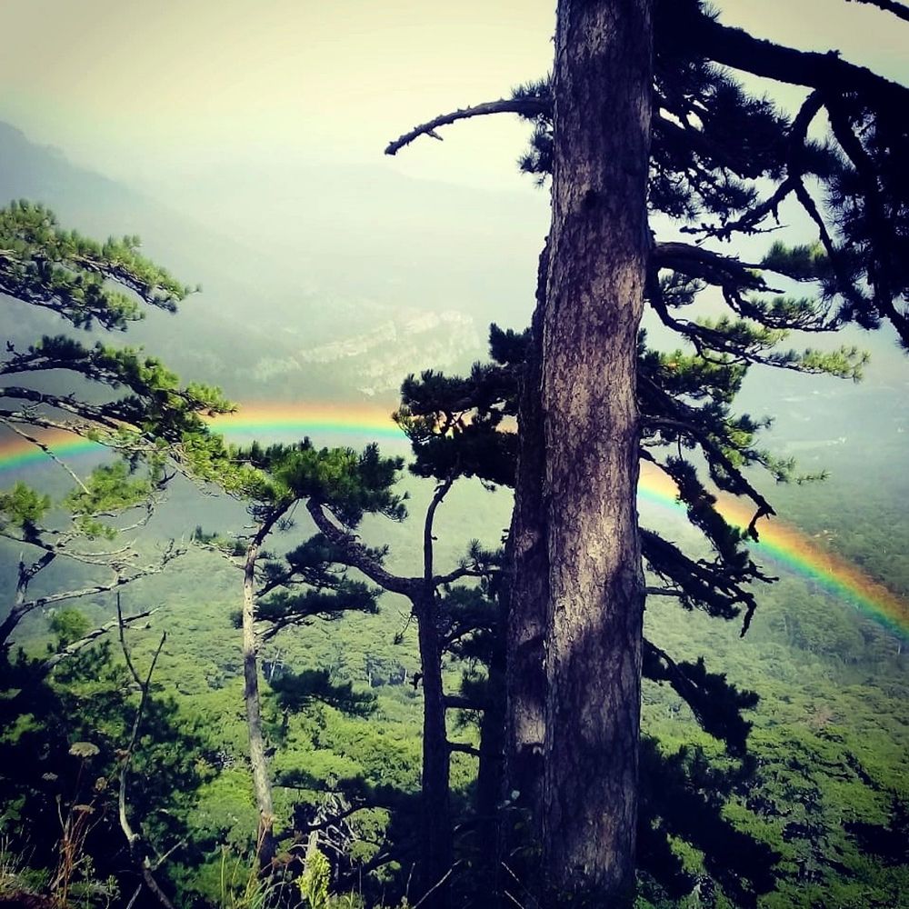 Photograph by Марина