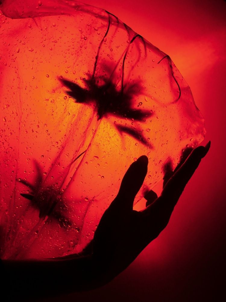 Photograph by Елена Дегтяренко